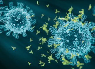 OMS declara fin de la pandemia por COVID-19