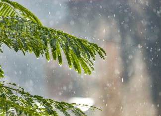 Pronostican fecha de primeras lluvias en la ZMG
