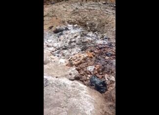 “Es una fosa, que cumple con las normas, Secretaría de Salud viene constantemente a revisarnos”, Gonzalo Álvarez