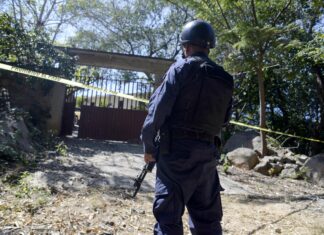 Legisladores sugieren revisar la estrategia del Gobierno Federal en materia de seguridad