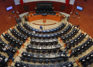 Morena define precandidatos al Senado, por Jalisco