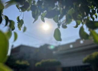 Esperan un 2024 con altas temperaturas y escases de agua