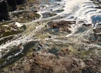 Rescate del Río Santiago quedaría en manos del gobierno de Claudia Sheinbaum