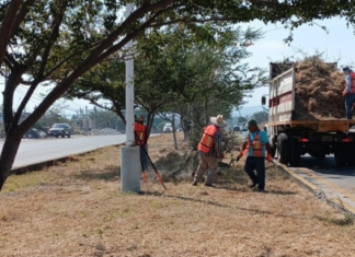 Empieza limpieza carretera libre Zapotlanejo-Guadalajara