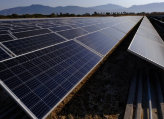 Impulsa Gobierno de Jalisco sustentabilidad energética como motor de atracción de inversiones