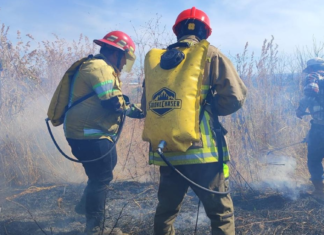 Cuerpo de Bomberos de Zapotlanejo atendió 106 incendios forestales en diciembre