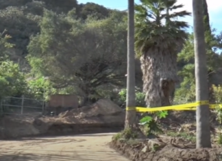 Iniciará Gobierno de Jalisco el proceso para decretar al Cerro El Tajo Área Estatal de Protección Hidrológica