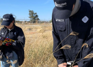 Incorpora COBUPEJ nuevas tecnologías y espacios de investigación para fortalecer búsqueda de personas en Jalisco