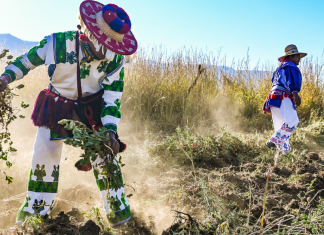 Impulsa Sader Jalisco cultivos de cacahuate orgánico y nopal forrajero en la Región Norte del estado