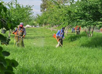 Zapotlanejo limpia y embellece la Carretera Antigua a Tepatitlán: espacio seguro y verde para la comunidad
