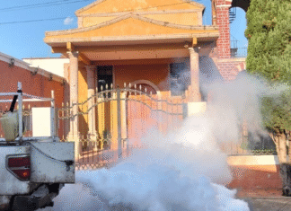 Zapotlanejo redobla esfuerzos para combatir al mosco del dengue