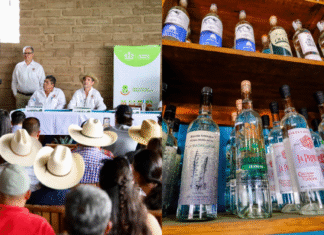 Jalisco destina 3 mdp para impulsar raicilla