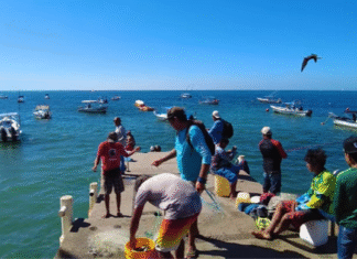 Ingresarán más de 4 mil millones por turismo a Jalisco
