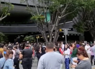 Sismo de 6.5 grados en Guerrero activa alertas en Jalisco