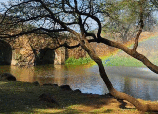 Puente de Calderón lidera turismo en Zapotlanejo