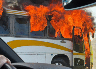 Operativo Federal desata Bloqueos e Incendios en Jalisco