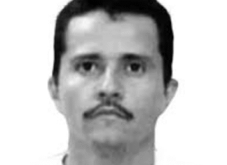 Jalisco en Código Rojo: Reportan muerte de “El Mencho” tras operativo en Tapalpa