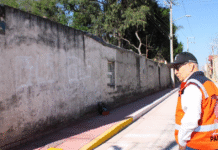 Finalizan pavimentación integral en la calle Javier Mina